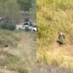 E rëndë në kryeqytet, Tiranë, skandal, i moshuari, abuzim me kafshë, qen i braktisur, akte të turpshme, pamje tronditëse, revoltë qytetarësh, denoncim, banorë të indinjuar, ndërhyrje e policisë, siguri publike, moral publik, ngjarje shqetësuese