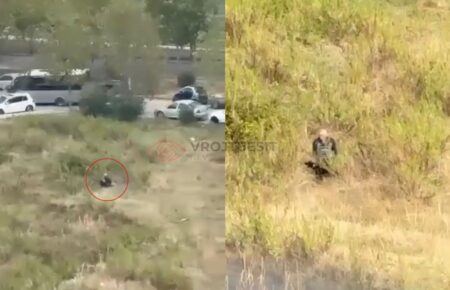 E rëndë në kryeqytet, Tiranë, skandal, i moshuari, abuzim me kafshë, qen i braktisur, akte të turpshme, pamje tronditëse, revoltë qytetarësh, denoncim, banorë të indinjuar, ndërhyrje e policisë, siguri publike, moral publik, ngjarje shqetësuese