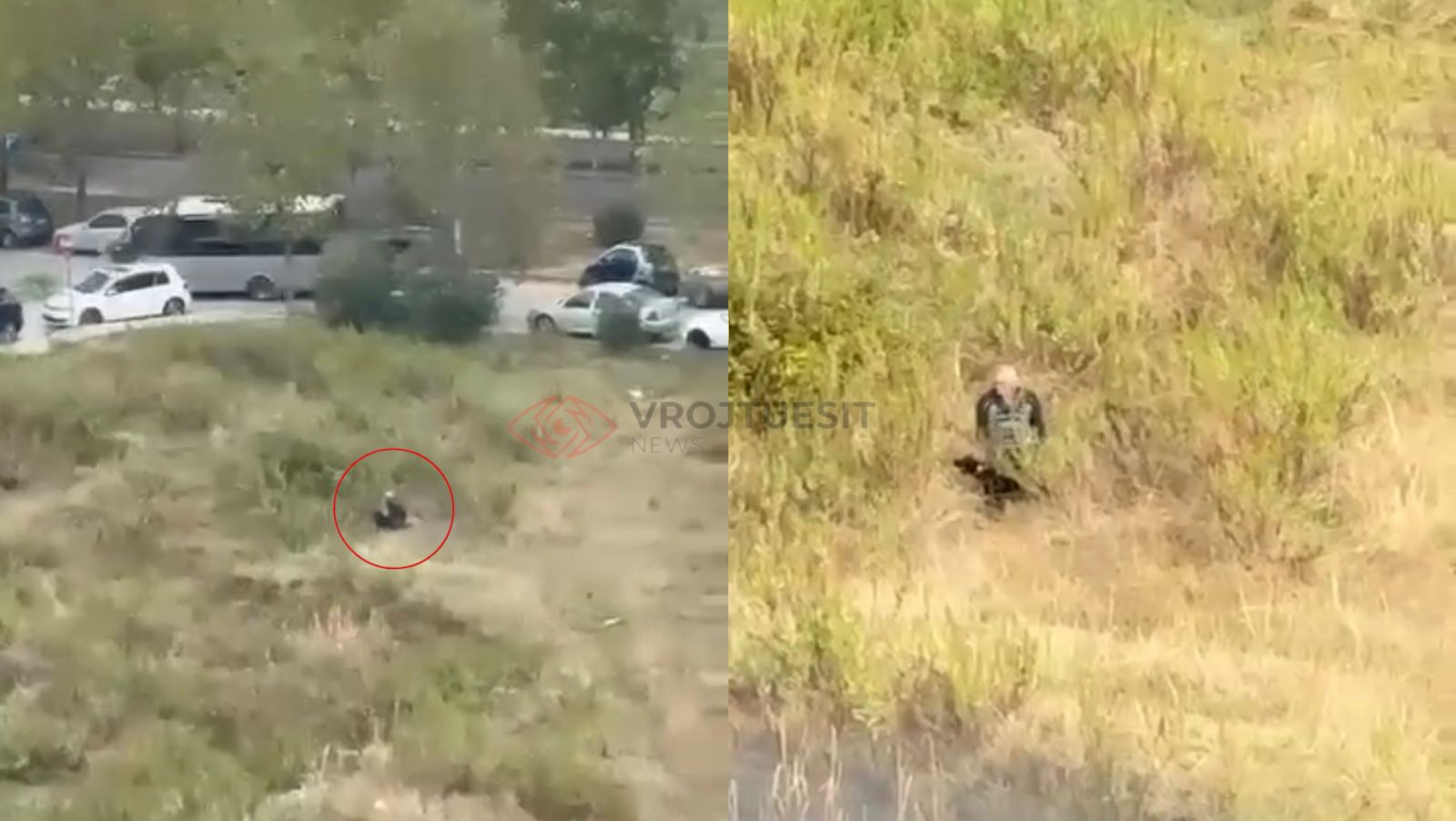 E rëndë në kryeqytet, Tiranë, skandal, i moshuari, abuzim me kafshë, qen i braktisur, akte të turpshme, pamje tronditëse, revoltë qytetarësh, denoncim, banorë të indinjuar, ndërhyrje e policisë, siguri publike, moral publik, ngjarje shqetësuese