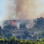 Zjarr në lagjen “15 Tetori” në Vlorë, flakët përfshijnë pisha dhe shkurre pranë banesave