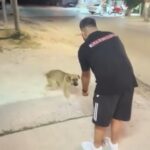 Qenushi i afrohet me besim për përkëdhelje, i riu e godet pa mëshirë